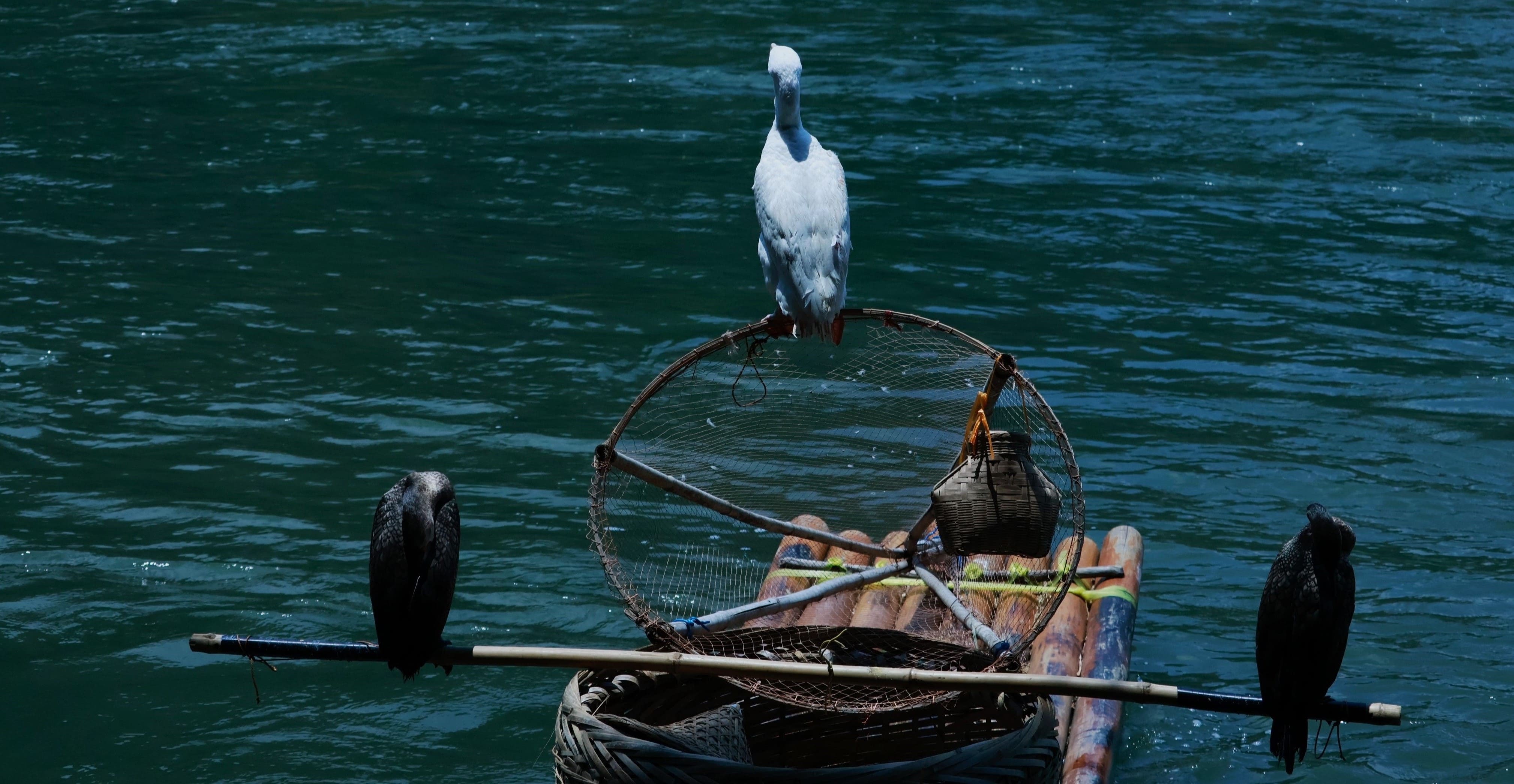 image32