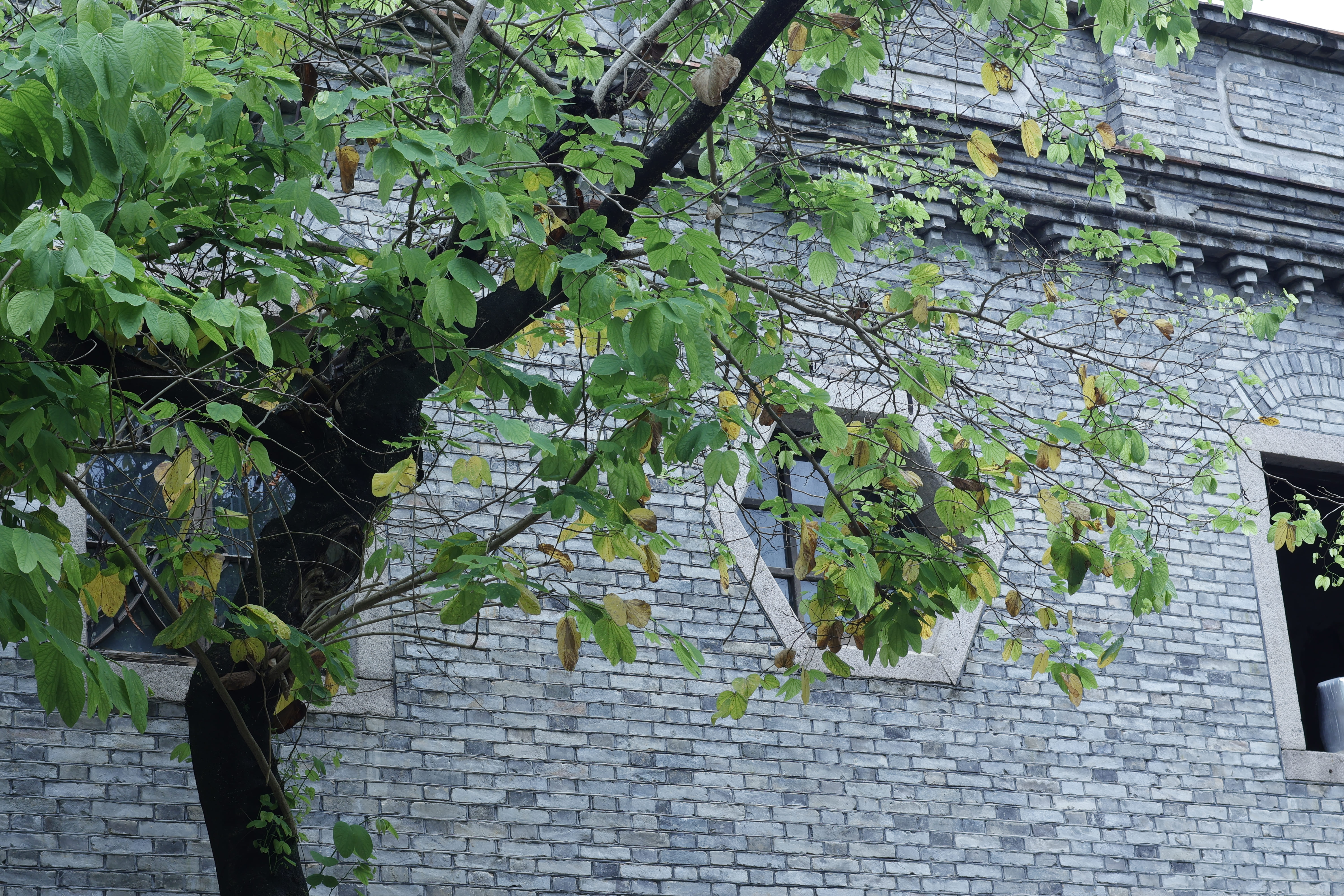 image38